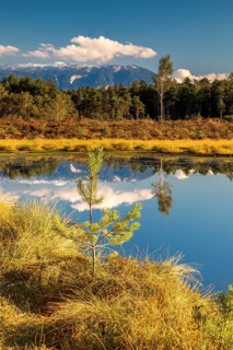Schonramer Filz, a raised bog near Traunstein, Bavaria in the evening light