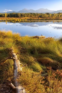 Schonramer Filz, a raised bog near Traunstein, Bavaria in the evening light