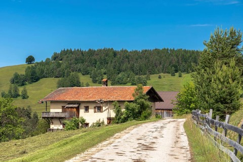 Ruins of a farmhouse near Deutschnofen, South Tyrol