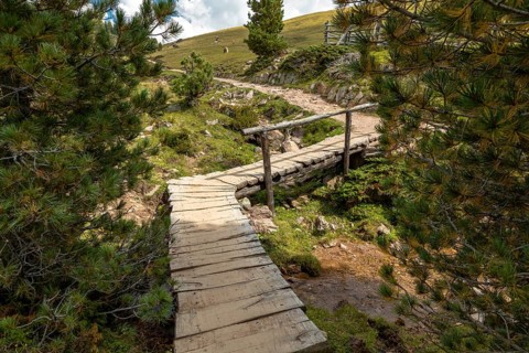 Hiking trail on the Rasciesa, Val Gardena, South Tyrol