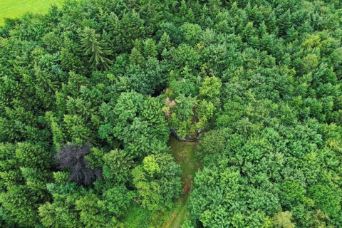 The Dengelstein (also: Denkelstein) is a boulder in the Kempten Forest. Betzenried, Durach,