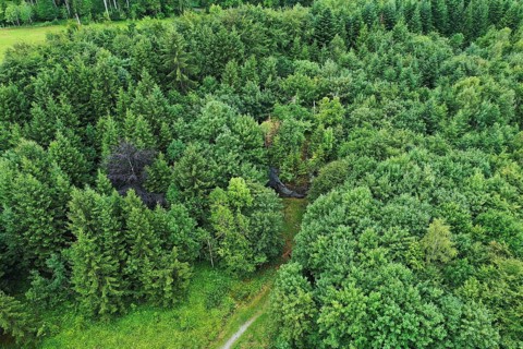 The Dengelstein (also: Denkelstein) is a boulder in the Kempten Forest. Betzenried, Durach,