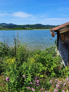 Boathouse on the lake with a gutter that is overgrown with moss