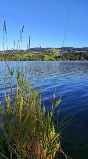 Rottachsee near Sulzberg