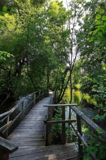 Steg aus Holz