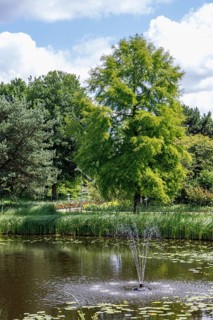 Calm pond with splashing fountain under cloudy sky and green vegetation, bad zwischenahn, Lower