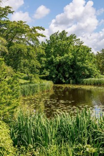 Tranquil pond and lush green trees under a blue, cloudy sky, bad zwischenahn, Lower Saxony,
