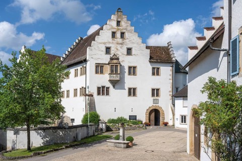 Flower field Castle in Hegau, Tengen, district of Constance, Baden-Württemberg, Germany, Europe