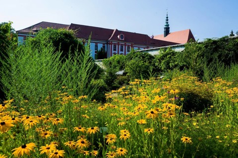 The Cistercian monastery of St Marienstern (sorb. Marijina HwÄ›zda) is located on the Klosterwasser