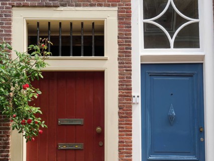 Close-up of two doors in a brick building, one in red and the other in blue, with plants next to