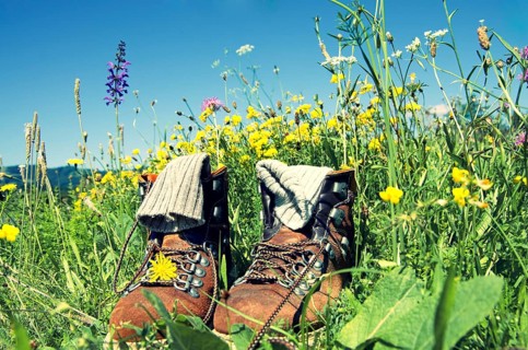 Mountain boots on a pasture in the german alps