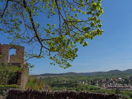 Viewpoint with ruins and leaves in the foreground, view of cityscape under blue sky, saarburg,