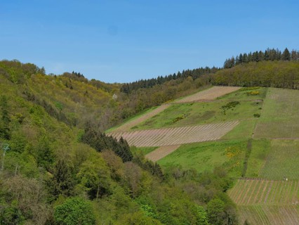 Hilly, wooded landscape with green fields on a clear spring day, saarburg, germany