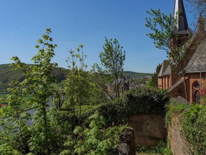 Church embedded in green vegetation and half-timbered houses in the sunshine, Saarburg, Germany,