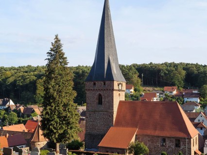 Pointed church tower with red roof and surrounding village houses, surrounded by trees under a blue