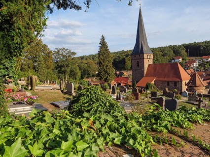 View of cemetery with gravestones and church tower in the background, surrounded by green