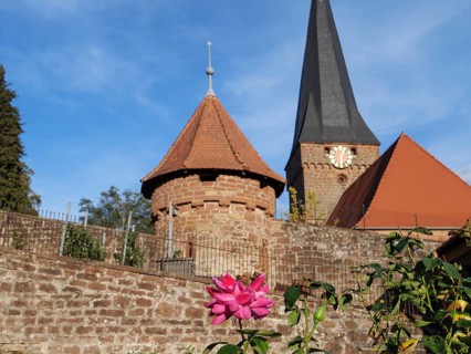Historic church with striking tower and red roof, garden and flowers in the foreground, Kandel,