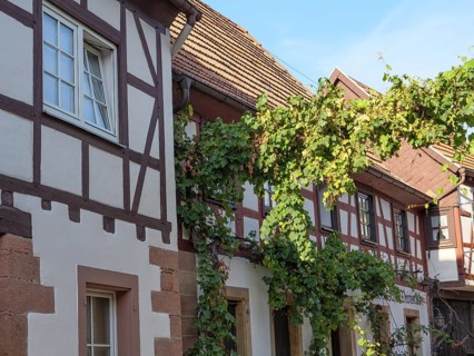 Traditional half-timbered houses with climbing ivy on the walls. Village atmosphere under a clear