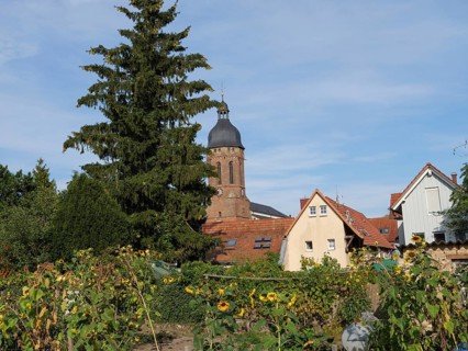 Church tower with surrounding red roofs and blooming sunflowers in the foreground, Kandel,