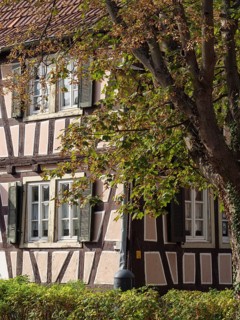 A half-timbered house with green shutters and a tree in the foreground in an autumnal setting,