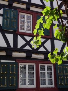 A traditional half-timbered house with green shutters and a vine framing the windows in the