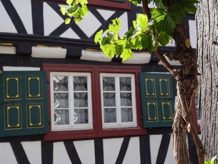 A decorative half-timbered house with a vine growing in front of the windows and green wooden