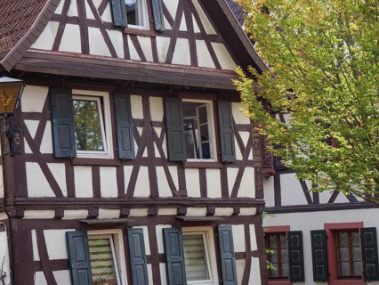 A historic half-timbered house with shutters, a tree in the foreground and autumnal colours,