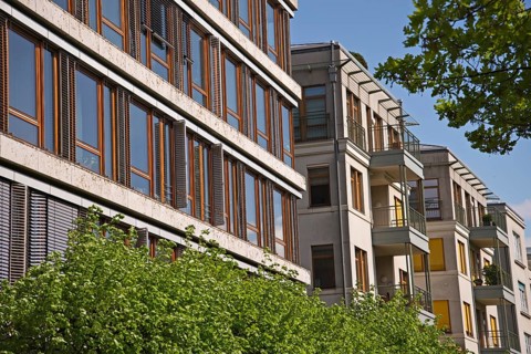 Modern urban houses surrounded by green trees