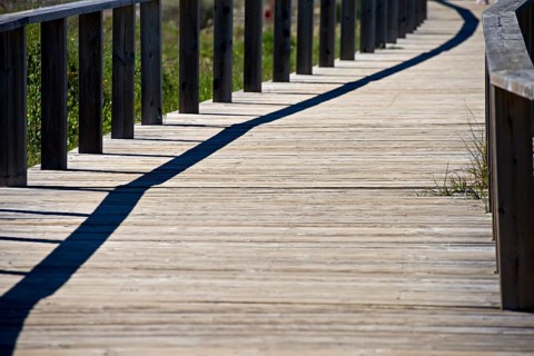 Wooden path Wooden bridge