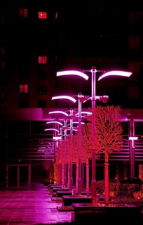 City lights and modern architecture