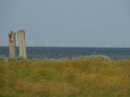 View of the sea and a meadow with wind turbines in the distance, hallig hooge, schleswig-holstein,