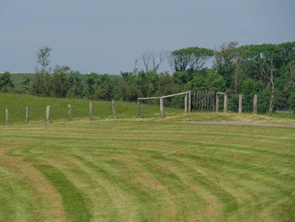 Green meadow with a wooden fence and trees in the background on a sunny summer day, hallig hooge,