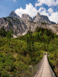 Suspension bridge in front of the Mühlsturzhornern, Klausbachtal, Reiteralpe, Berchtesgaden