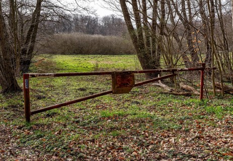 Rusty barrier in a wooded area, Rügen, Mecklenburg-Western Pomerania, Germany, Europe
