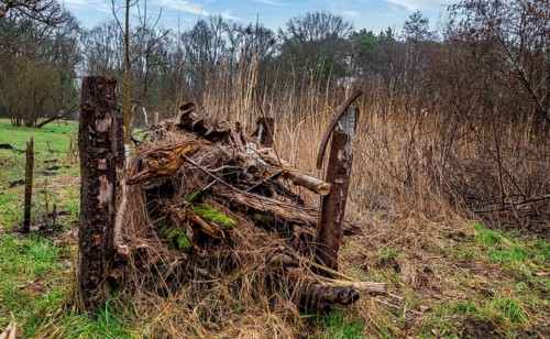 Landscape and wooded area in Berlin Kopenick, Berlin, Germany, Europe