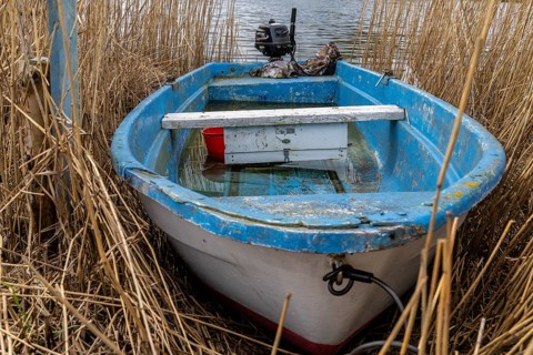 Small boat standing in the reeds, Rügen, Mecklenburg-Vorpommern, Germany, Europe