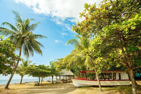 On the beach of Playa Tarcoles Costa Rica