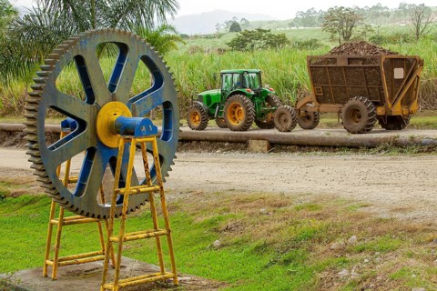 Sugarcane harvest in Costa Rica