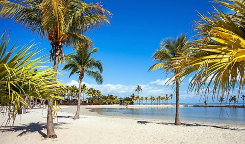 The Round Beach at Matheson Hammock County Park Miami Florida