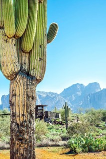 Apache Trail Arizona