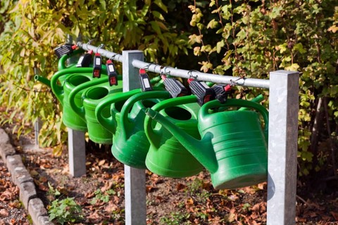 Watering cans