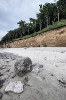 Steep coast, Poel Island, Mecklenburg-Western Pomerania, Germany, Europe