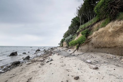 Steep coast, Poel Island, Mecklenburg-Western Pomerania, Germany, Europe