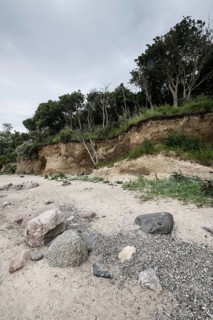 Steep coast, Poel Island, Mecklenburg-Western Pomerania, Germany, Europe