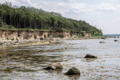 Steep coast, Poel Island, Mecklenburg-Western Pomerania, Germany, Europe
