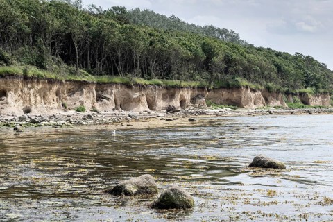 Steep coast, Poel Island, Mecklenburg-Western Pomerania, Germany, Europe
