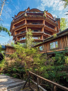 Nothofagus Hotel, Reserva Biologica Huilo Huilo, Chile, South America