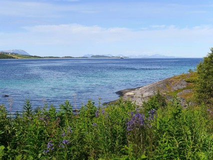 From Wikipedia:Tjeldsundet is a strait or sound in Northern Norway. Tjeldsundet (Norwegian: