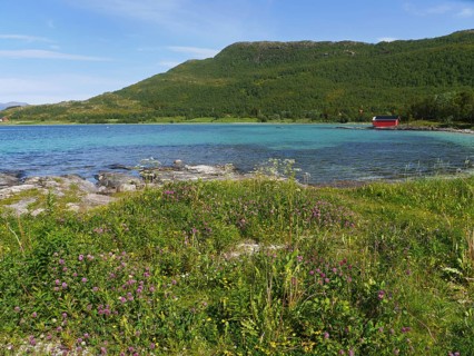 Tjeldsund Northern Norway