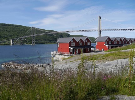 From Wikipedia:Tjeldsundet is a strait or sound in Northern Norway. The Tjeldsund Bridge connects